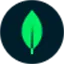 MongoDB Cloud logo