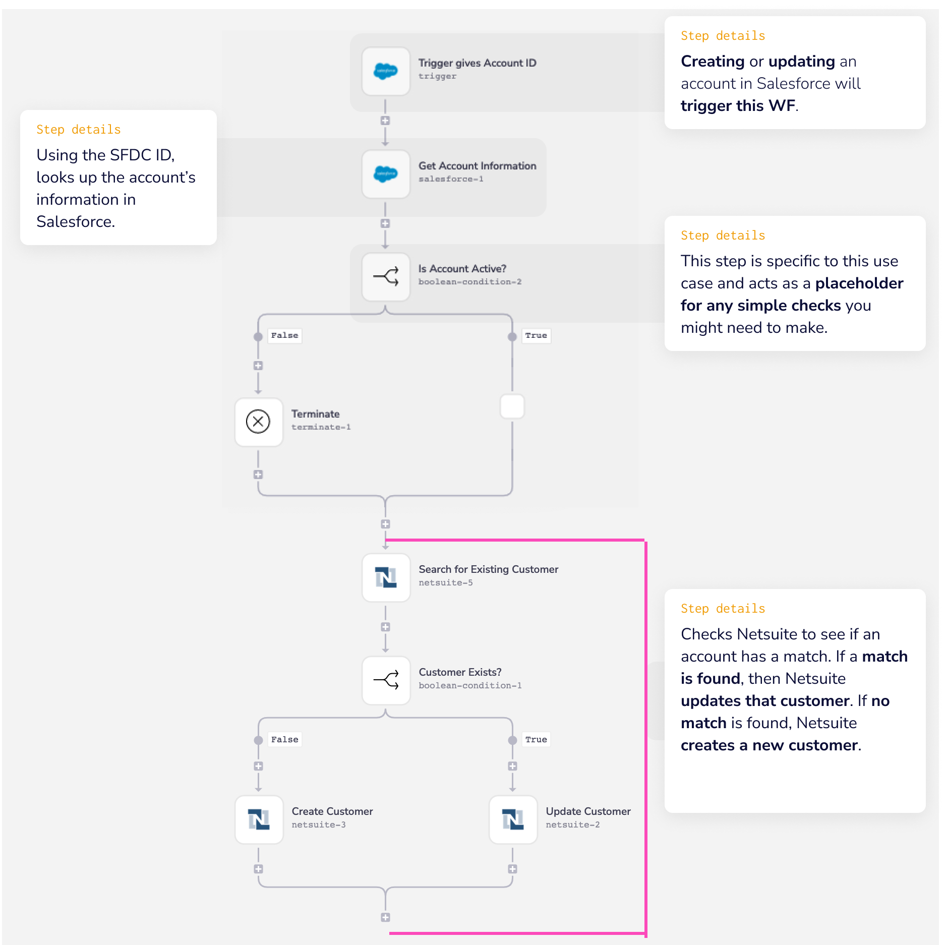 sync-sfdc-accounts-netsuite-customers-wf-6