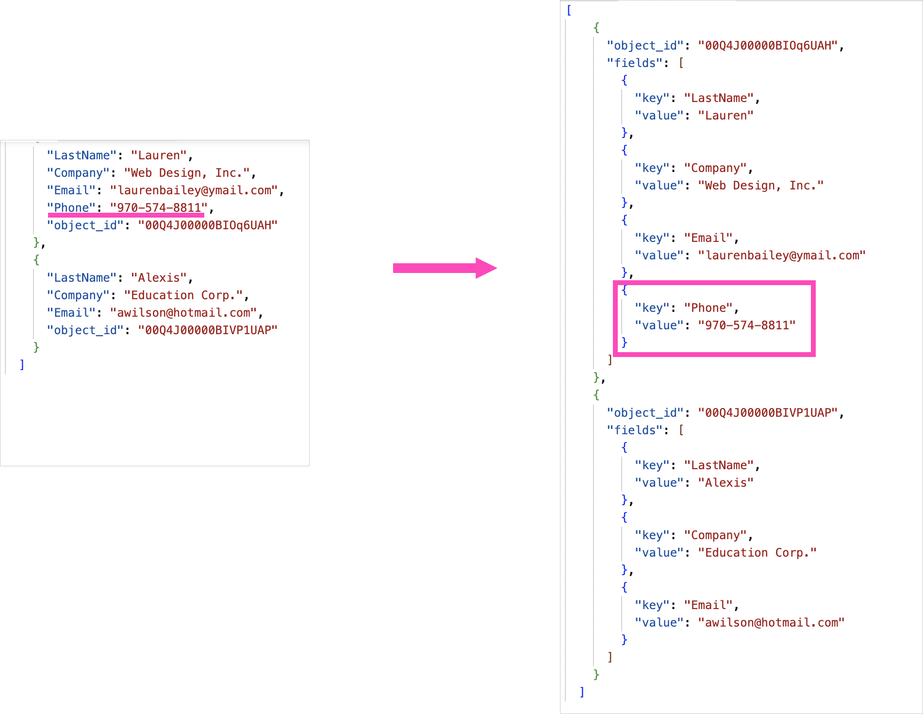 sfdc-dynamic-input-schema