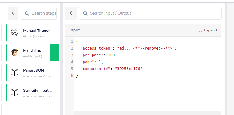 mailchimp-debug-input-1